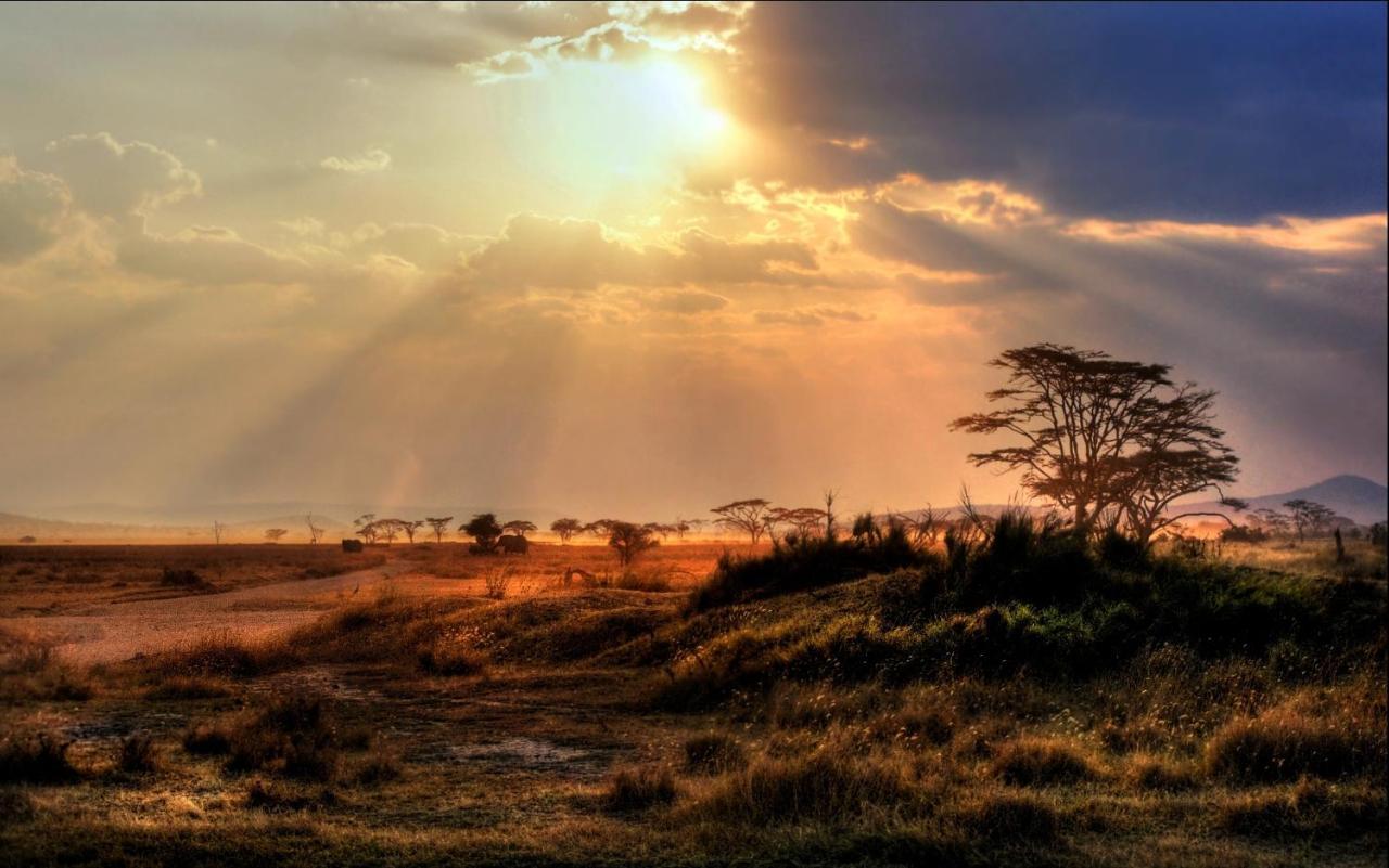 Africa Safari Maasai Boma Villa Serengeti Bagian luar foto