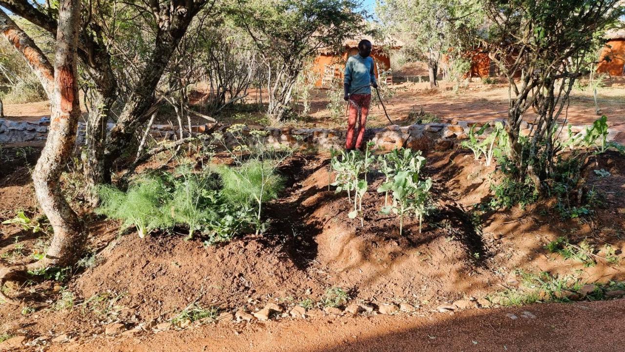 Africa Safari Maasai Boma Villa Serengeti Bagian luar foto